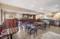 Best Western Plus Orchid Hotel  Suites Отели в г. Розвилл