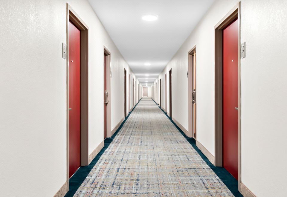 레드 루프 인 객실