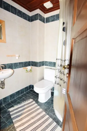 Traditional Luxury House in Pelion "erato"