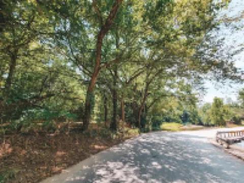 Game Day Getaway: Pet-Friendly Razorback Stay ジョンソンのホテル