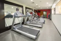 Hilton Garden Inn Phoenix/Avondale - Gym