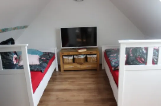 Vacation on the pony farm