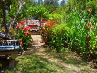 RIVERFRONT, KAYAKS, DOCK, YARD, VIEW,  HOT TUB, POOL TABLE, BBQ, 5 STAR