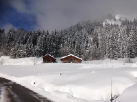Appartement Dans un Chalet à la Montagne Avec Très Belle vue sur le Mont-blanc 阿爾利河畔普拉茲酒店