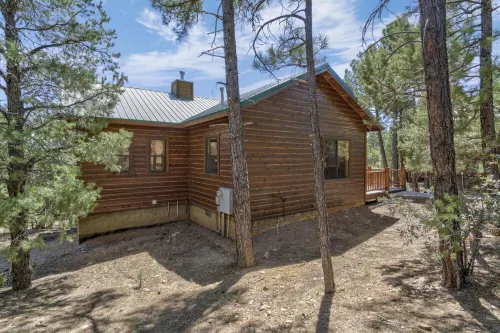 Bison Ridge 4 BR, 4BA Cabin with National Forest access and views!