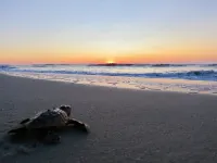Ocean View! 100 steps to feet in the sand! Super Clean!