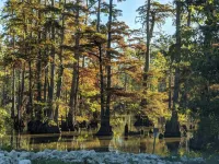 Beer and s'Mores Anyone? We've GOT You! Hunting Cabin Meets Weekend Hideout. Hotels in Alexander County