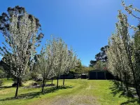 Escape to the country - centrally located with Cathedral views