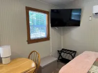 Tiny Cabin in the Laurels, with queen bed & queen sofa bed in wooded setting.