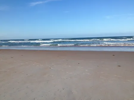 No snow here. 5 minute walk to the beach. Quiet neighborhood. Отели в г. Ормонд-Бай-Те-Си