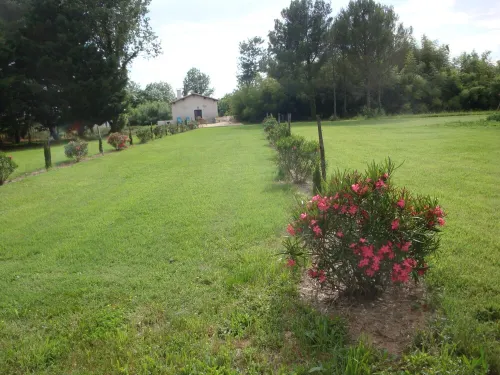 Gîte in Petite Camargue for 2 People on the Banks of the Petit Rhône - Chalets