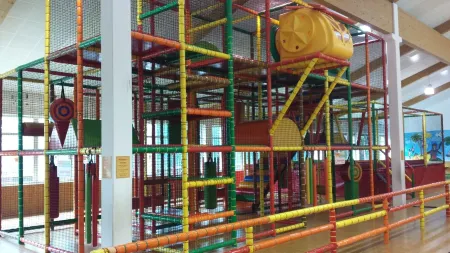 Perfect family holiday in the mountain forest: pool, sauna and fantastic views