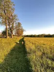 Cozy Country Getaway in the Heart of Upperville