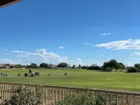 Arden Haus - Remodeled 3 bedroom house in Mesa w/pool and golf course views