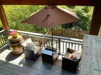 Treetop Refuge in Oakland Hills