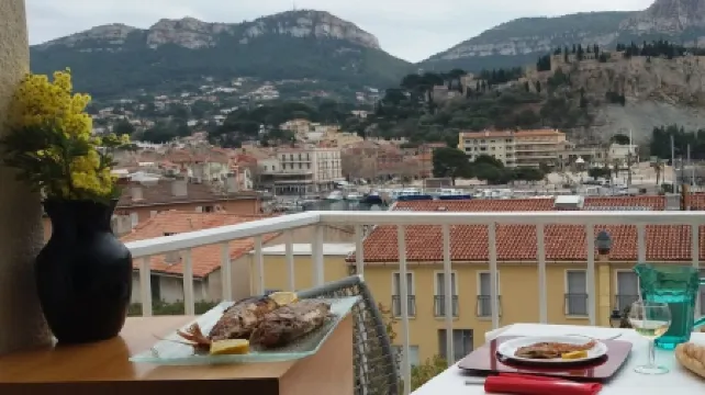 The Panorama: View of the port, Cap Canaille and the castle 100 m from the port