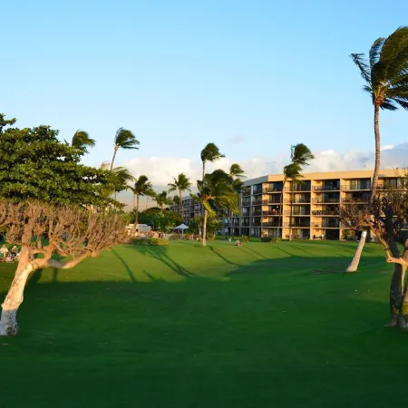 Maui Sunset B201: Beautiful 2 Bedroom, 2 Bath, Kihei Condo. Sleeps up to Six