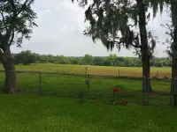 Near Fayetteville, Round Top, Columbus: Peaceful Country Setting