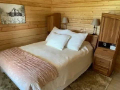 Sweet Little Bee Hive in the Ozarks!