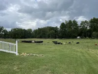 Third Day Farm Country Getaway Stay <br>Enjoy the country life Hotels in Marshall County