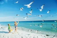 Thoughtfully Hosted Gulf-Front Retreat on Quiet Navarre Beach
