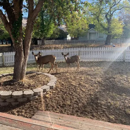 Whitetail cottage! 🦌 Spacious home with game room. Near OIT and SkyLakes.