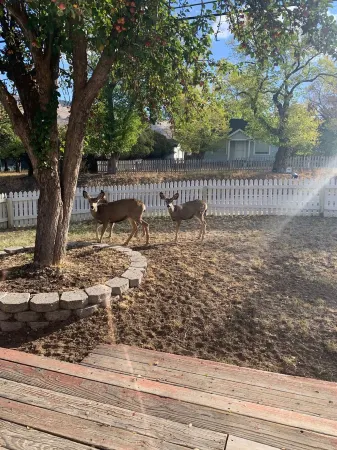 Whitetail cottage! 🦌 Spacious home with game room. Near OIT and SkyLakes. Отели в г. Алтамонт