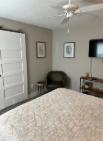 Experience the Best of Downtown St. Pete!