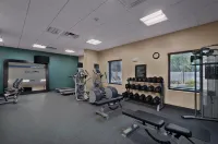 Hampton Inn & Suites Tampa Northwest/Oldsmar - Gym