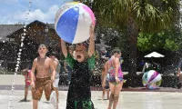 ☆KING BED☆ Family Friendly - Walk to Zoo & Waterpark; Near Downtown & Midtown - 3 stjerner
