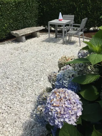 Charming one bedroom cottage, close to lower Main Street and Handlebar Cafe.