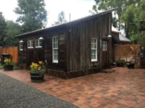 Just Horsin' Around!