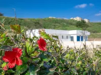 Guest House Ocean Irabujima - Hostel Hotels in Miyakojima