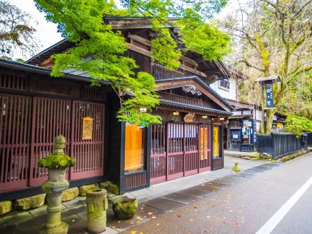 Kawaguchi Onsen Ousanso Отели в г. Нисивага
