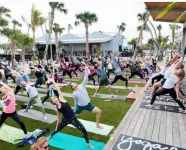 Amazing 4 Bdrm, 4 Bath Catamaran - Purpus