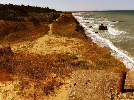 House Dina Ahrenshoop Отели в г. Аренсхоп