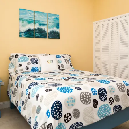 New Kingston Guest Apartment at Westbury