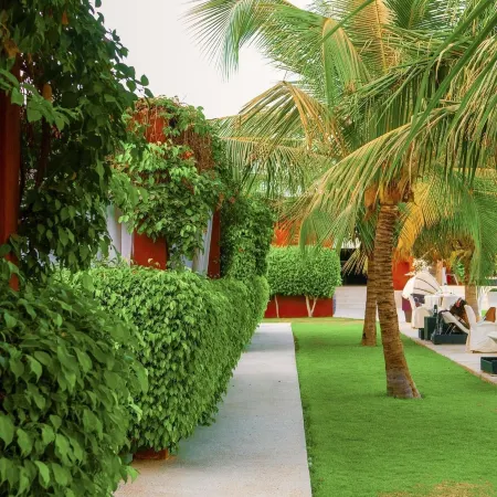 Villa Petit Paradis Boutique Hôtel