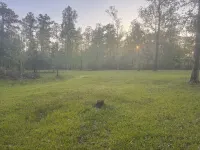 Cozy cabin on Lake Seminole, the bass capitalOf the world!
