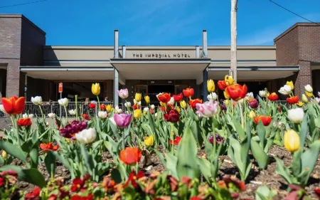 Imperial Motel Отели в г. Джоадджа