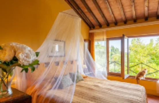 Agriturismo La Torraccia Di Chiusi Hotel a San Gimignano