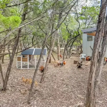 Cozy Modern Cabin wt Pool, Hot Tub, Fire pit and Goats, Alpacas, Chickens & Emus