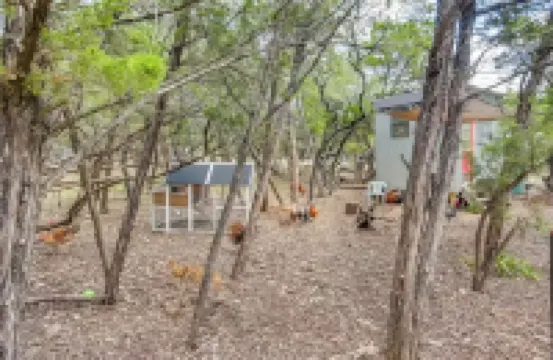 Cozy Modern Cabin wt Pool, Hot Tub, Fire pit and Goats, Alpacas, Chickens & Emus