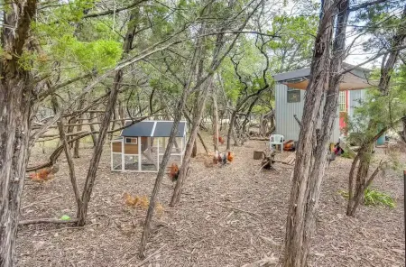 Cozy Modern Cabin wt Pool, Hot Tub, Fire pit and Goats, Alpacas, Chickens & Emus