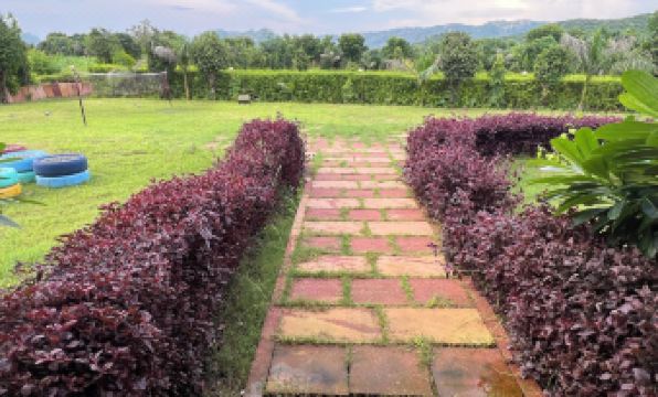 2. 그린 밸리 사리..