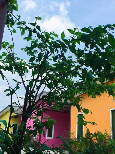 รูปภาพของแย้มสรวลเฮ้าส์ รีสอร์ท