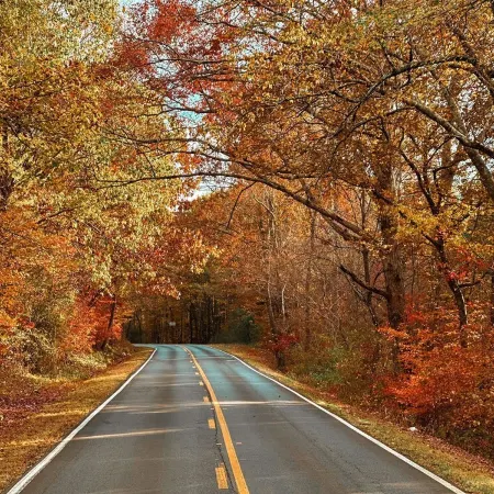 Nature's Cedar Creek Getaway