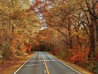Nature's Cedar Creek Getaway