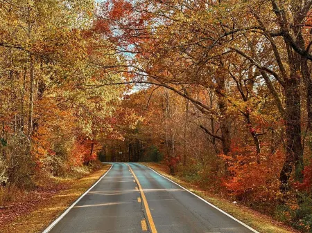 Nature's Cedar Creek Getaway