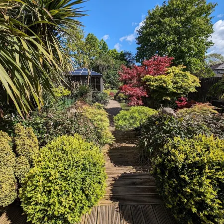 Tropical Garden Oasis Rooms